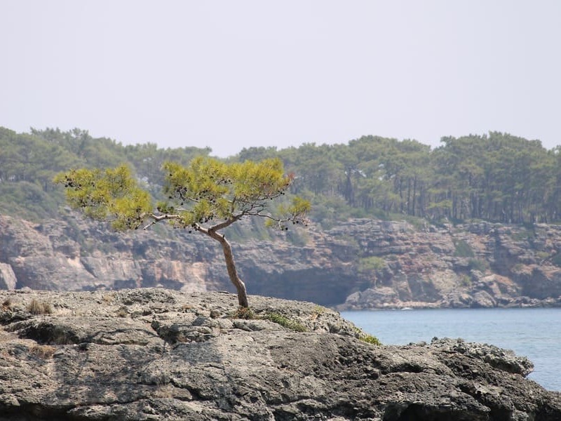 путевка в Кемер на июнь.jpg